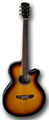 Dzambo guitar.jpg